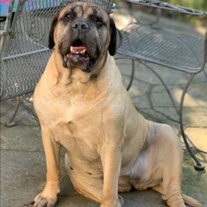 Meet your Posher, Susan